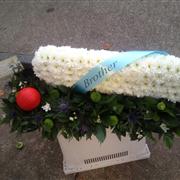 Cricket Bat &amp; Ball POA