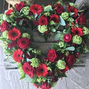 Red &amp; Green Open Heart Tribute