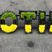 Brother Tribute - Jamaican Flag Colours