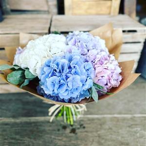 Eco Friendly Hydrangea Bouquet