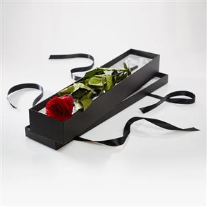 Single Rose in Silk Lined Box