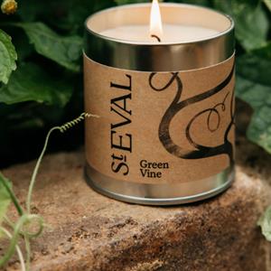 St Eval Green Vine Scented Tin Candle