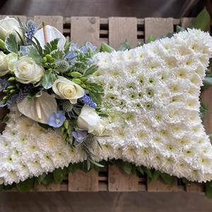 Pale Blue and White Pillow