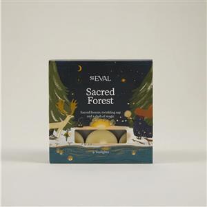 St Eval Sacred Forest Tealights